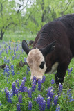 Always take time to smell the flowers!