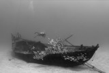 Wreck Of The Naked Lady