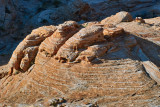 Earthy Dome