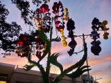 Rainbow Bell Flowers