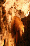 Waitomo cave