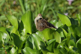 IMG_1933-1350x900.jpg