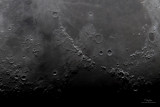 IMG_2927-100crop-2.jpg