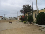 IMG_7289.JPG