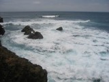 IMG_7326.JPG