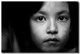 20081026 -- 202359 -- Canon 5D + Sigma 150 / 2.8 macro & 580EXII @ f / 4, 1/200, ISO 100