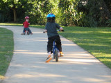 IMG_4264.jpg