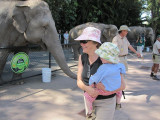 IMG_0051.jpg