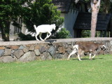 IMG_8660_10_1.JPG