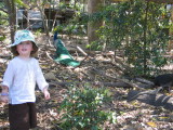 IMG_8335_2_1.JPG
