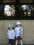 IMG_8347_3_1.JPG