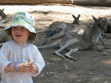 IMG_8374_5_1.JPG