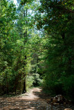 Nancy and Toms driveway