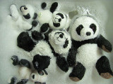 panda bath