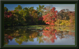 Autumm Fall Foilage  Carmans River 2008