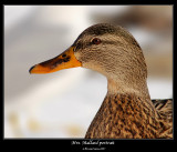 mrs-mallard