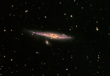 NGC 4631 Spiral Galaxy