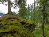 Maligne Lake.