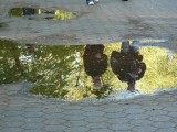 Pedestrians reflecting in puddle