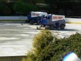 Trump Zambonis