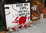 BOOTH  AT THE 2008 HENDERSON COUNTY,  NORTH CAROLINA APPLE FESTIVAL