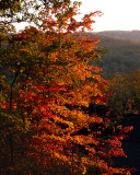 FIERY  GLOW - 11 MINUTES BEFORE SUNSET