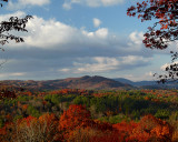 FALL MORNING, AFTER A RAINY NIGHT