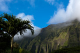 Mist On The Pali