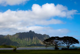L120 Pu'u Kanehaoalani