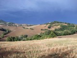 le Marche