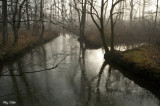 Abrams Creek in Fog