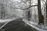 Covemont Rd. After Yesterday's Snowfall