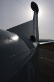 Nimrod2.jpg