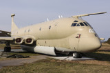 Nimrod5.jpg