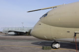 Nimrod6.jpg