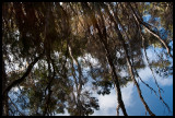 Sealers Creek 2