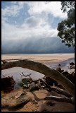 Rain over The Cathedral, from Sealers Cove
