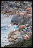 Granite near South East Point landing ramp 1