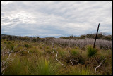Plateau north or Roaring Meg 2