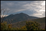 Mt Wilson and Wilson Range