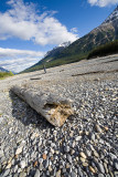 Driftwood & Pebbles