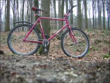 Singlespeed en fort de Soignes...