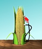 Pour chacun de ses pleins en biocarburants, un SUV (4x4) utilise lquivalent des besoins alimentaires annuels dune...