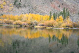 Got some of the pines in reflection along with Aspens