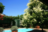 Cool pool