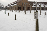 Auschwitz - winter