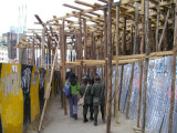 IMGP1108smsm.JPG