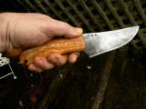 appleinhand.jpg