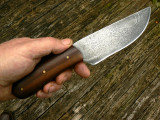 Indian Rosewood 2.jpg