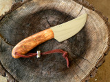Cherry upsept on stump.jpg
